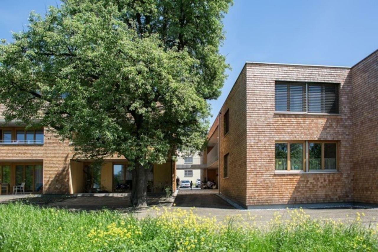 Gartenwohnung In Praemierter Wohnanlage Klaus  Kültér fotó